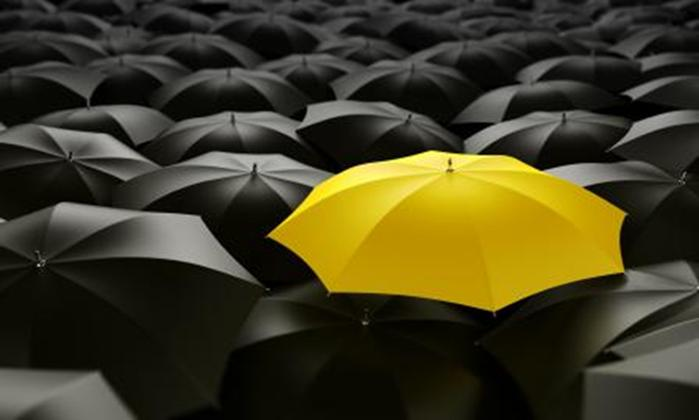 Competing in a Crowded Marketplace: Identifying your Differentiators on Capability Statements